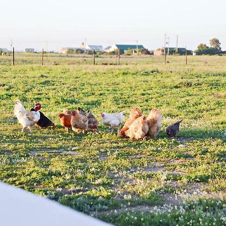 Aintree Farm Cottage Langebaan Kültér fotó
